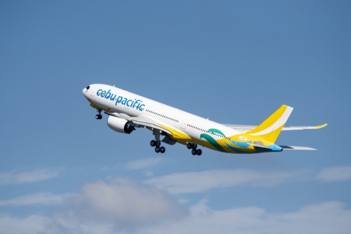 에디터 사진